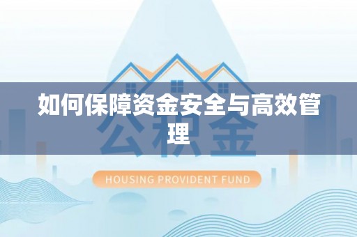 狮子山如何保障资金安全与高效管理