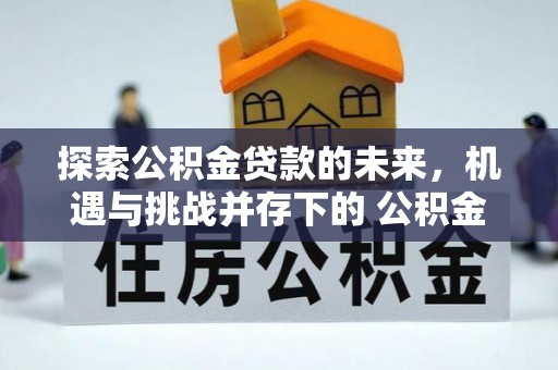 狮子山探索公积金贷款的未来，机遇与挑战并存下的 公积金贷款风险防控