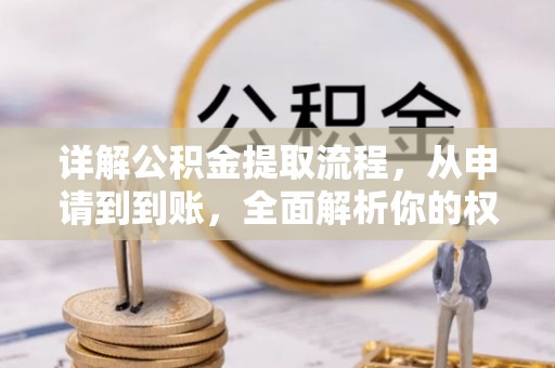 狮子山详解公积金提取流程，从申请到到账，全面解析你的权益与操作步骤