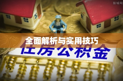 狮子山全面解析与实用技巧