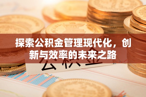 狮子山探索公积金管理现代化，创新与效率的未来之路