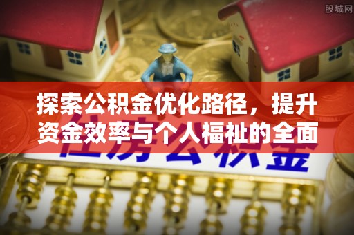 狮子山探索公积金优化路径，提升资金效率与个人福祉的全面解析
