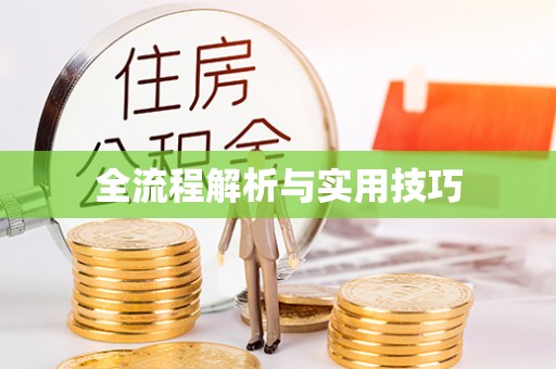 狮子山全流程解析与实用技巧