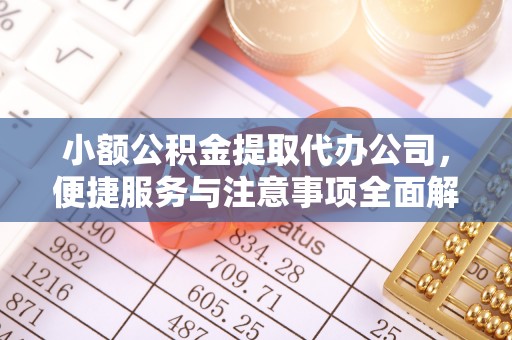 狮子山小额公积金提取代办公司，便捷服务与注意事项全面解析