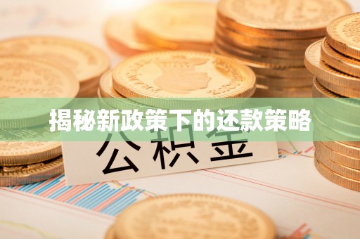 狮子山揭秘新政策下的还款策略