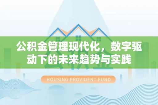 狮子山公积金管理现代化，数字驱动下的未来趋势与实践