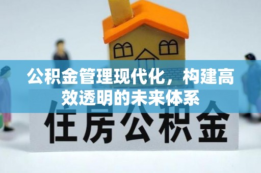 狮子山公积金管理现代化，构建高效透明的未来体系