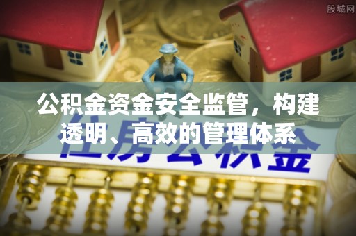 狮子山公积金资金安全监管，构建透明、高效的管理体系