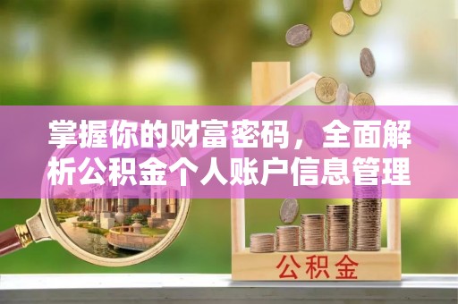狮子山掌握你的财富密码，全面解析公积金个人账户信息管理与优化