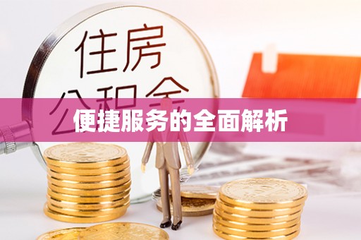 狮子山便捷服务的全面解析