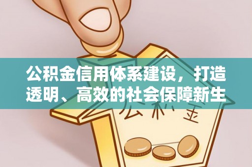 狮子山公积金信用体系建设，打造透明、高效的社会保障新生态