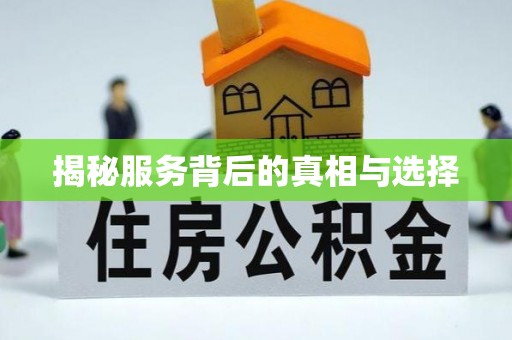 狮子山揭秘服务背后的真相与选择