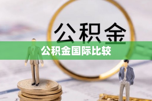 狮子山公积金国际比较