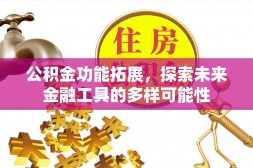 狮子山公积金功能拓展，探索未来金融工具的多样可能性