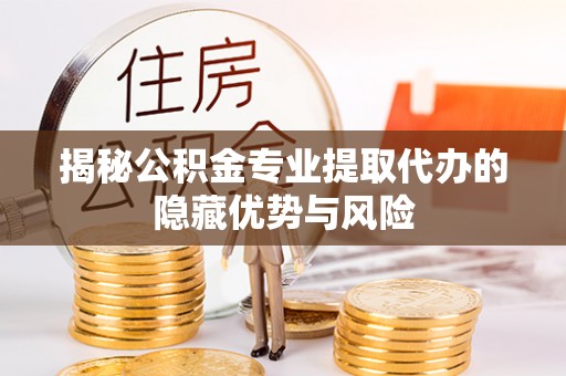 狮子山揭秘公积金专业提取代办的隐藏优势与风险