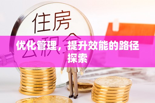 狮子山优化管理，提升效能的路径探索