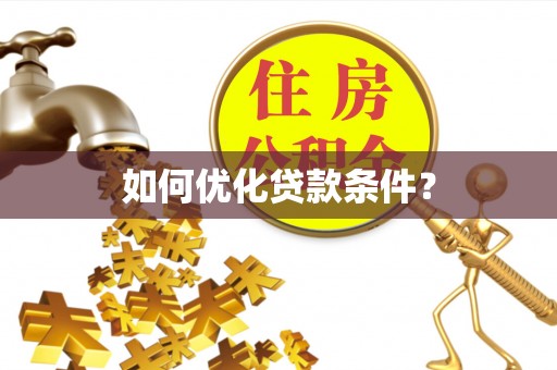 狮子山如何优化贷款条件？