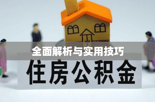 狮子山全面解析与实用技巧