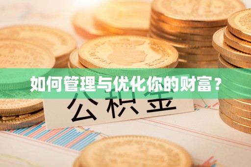 狮子山如何管理与优化你的财富？