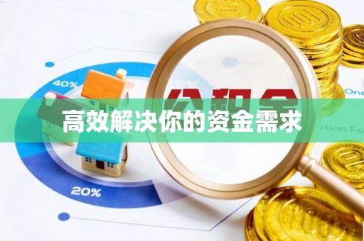 狮子山高效解决你的资金需求