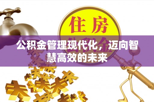 狮子山公积金管理现代化，迈向智慧高效的未来