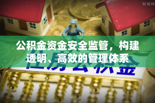 狮子山公积金资金安全监管，构建透明、高效的管理体系