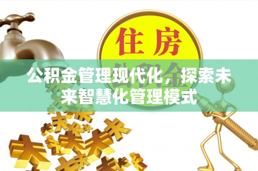 狮子山公积金管理现代化，探索未来智慧化管理模式