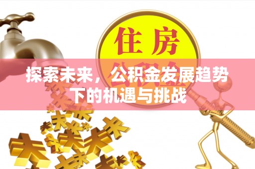 狮子山探索未来，公积金发展趋势下的机遇与挑战