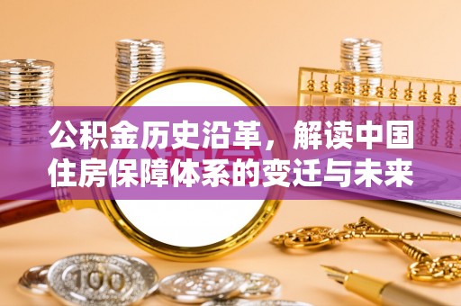 狮子山公积金历史沿革，解读中国住房保障体系的变迁与未来