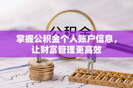狮子山掌握公积金个人账户信息，让财富管理更高效