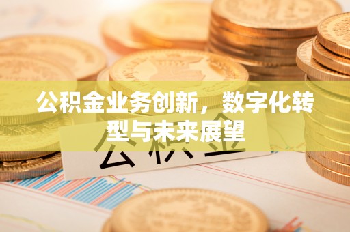 狮子山公积金业务创新，数字化转型与未来展望