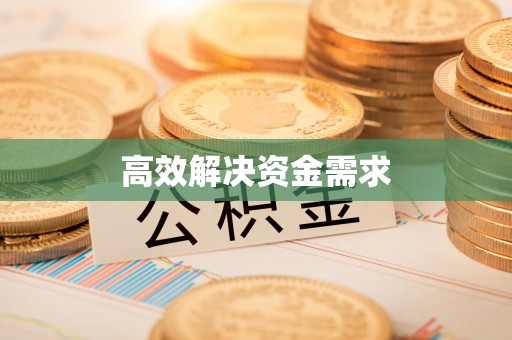 狮子山高效解决资金需求