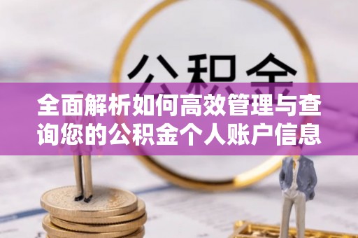 狮子山全面解析如何高效管理与查询您的公积金个人账户信息