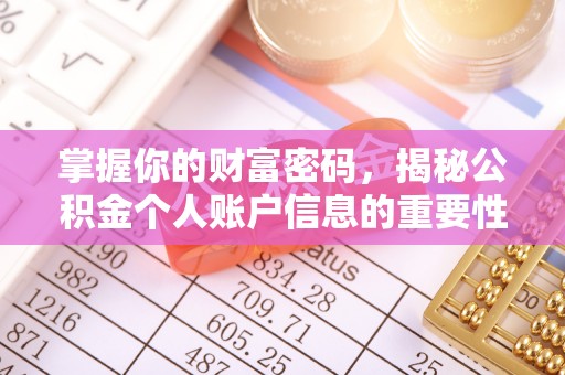 狮子山掌握你的财富密码，揭秘公积金个人账户信息的重要性