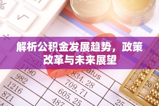 狮子山解析公积金发展趋势，政策改革与未来展望