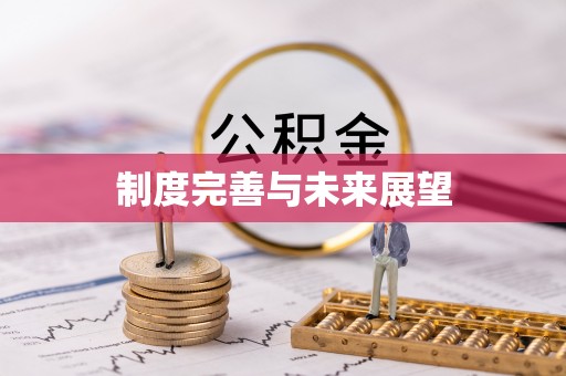 狮子山制度完善与未来展望