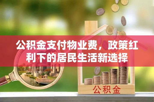 狮子山公积金支付物业费，政策红利下的居民生活新选择