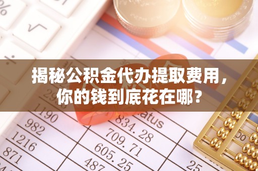 狮子山揭秘公积金代办提取费用，你的钱到底花在哪？
