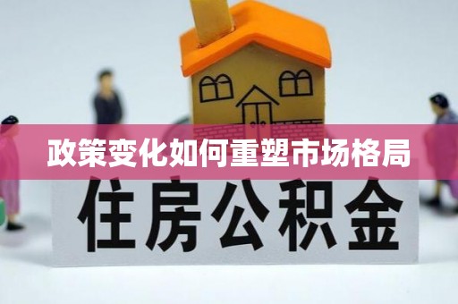 狮子山政策变化如何重塑市场格局