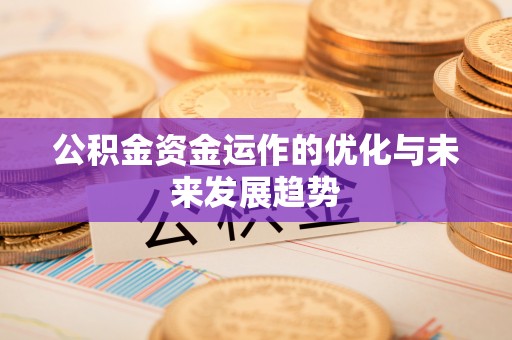 狮子山公积金资金运作的优化与未来发展趋势