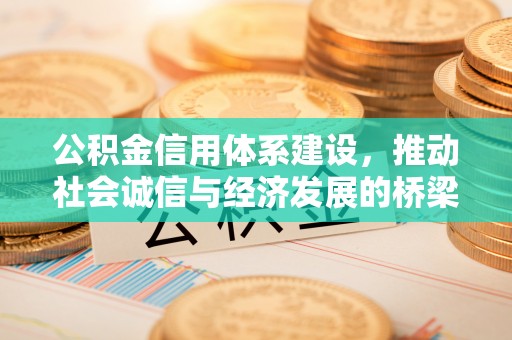 狮子山公积金信用体系建设，推动社会诚信与经济发展的桥梁