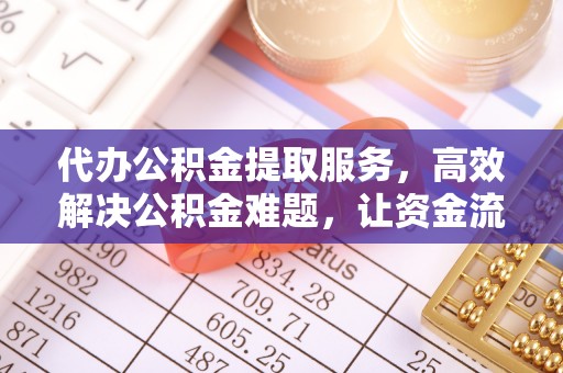 狮子山代办公积金提取服务，高效解决公积金难题，让资金流动更自由