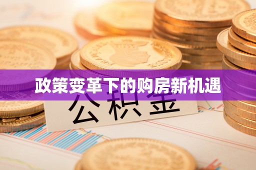 狮子山政策变革下的购房新机遇