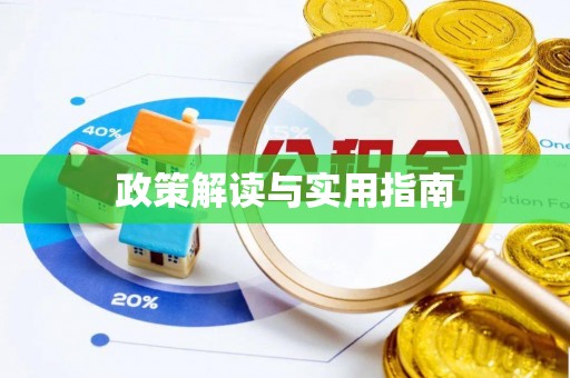 狮子山政策解读与实用指南