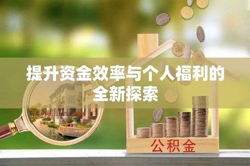 狮子山提升资金效率与个人福利的全新探索