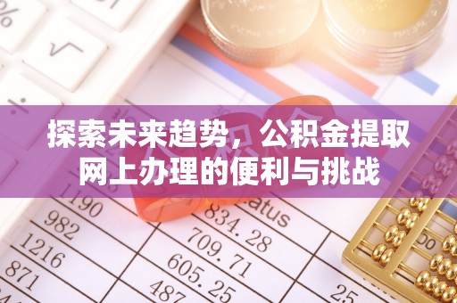 狮子山探索未来趋势，公积金提取网上办理的便利与挑战