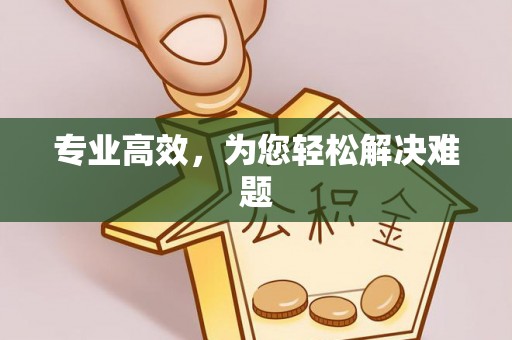 狮子山专业高效，为您轻松解决难题