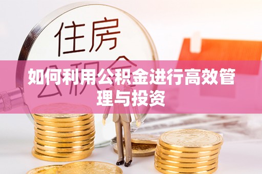 狮子山如何利用公积金进行高效管理与投资