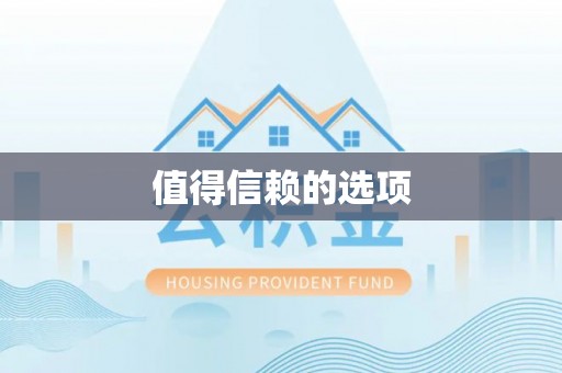 狮子山值得信赖的选项