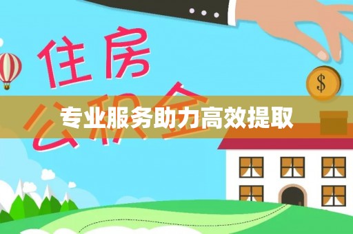 狮子山专业服务助力高效提取